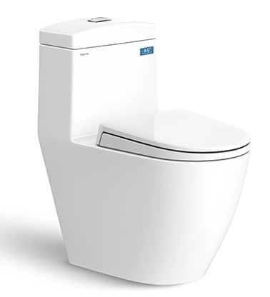 BỒN CẦU 1 KHỐI VIGLACERA V199