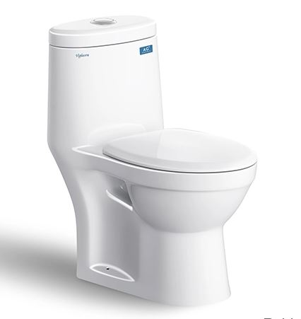 BỒN CẦU 1 KHỐI VIGLACERA BTE