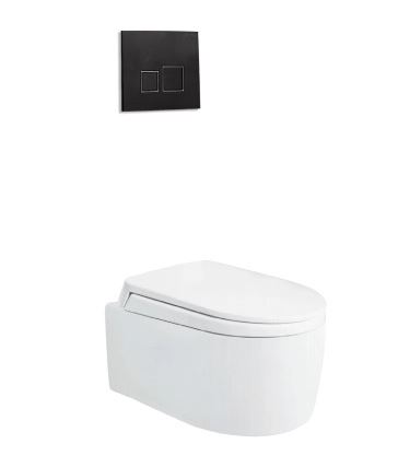 BỒN CẦU ÂM TƯỜNG VIGLACERA V55