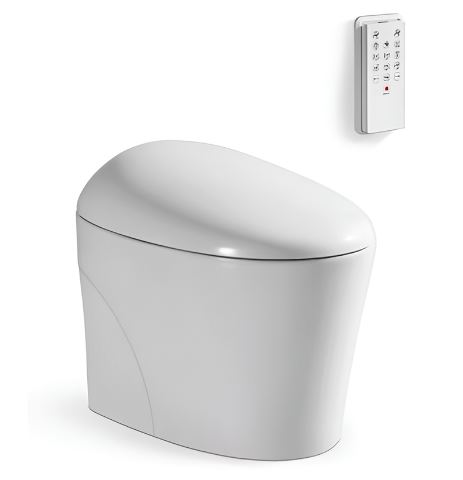 BÀN CẦU V-SMART V95