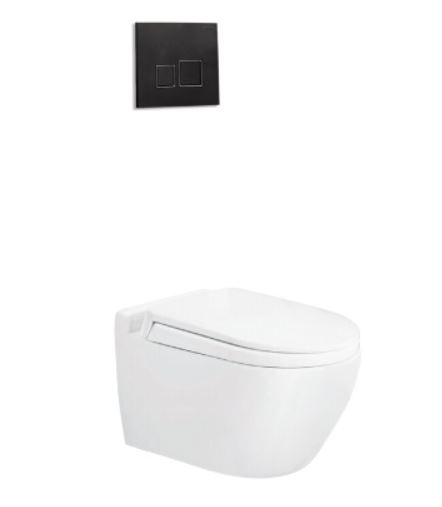 BỒN CẦU ÂM TƯỜNG VIGLACERA V51KA