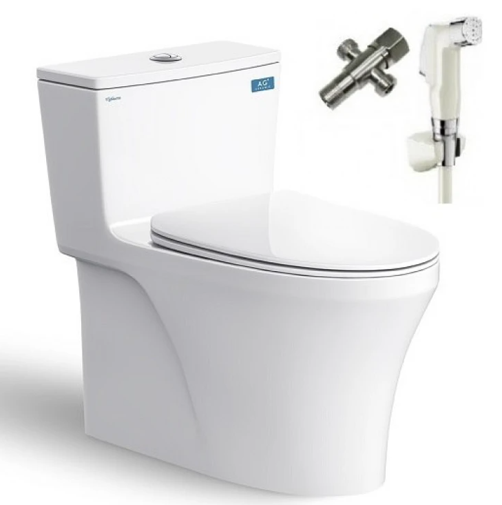 Bồn Cầu Viglacera HL2 Nắp V687 1 Khối Nano Titan + VG826 + VG853