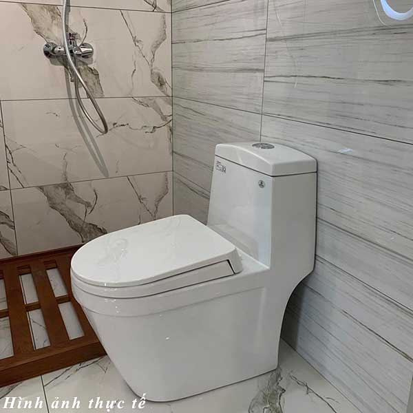 Bồn cầu 1 khối Viglacera V35M (Tặng xịt VG826)