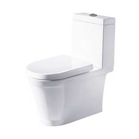 Bồn cầu một khối Bravat C21130XUW-PB-ENG