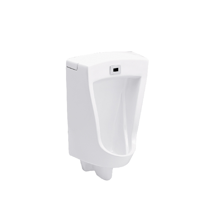 Tiểu nam cảm ứng Cotto C3011AC/DC