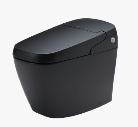 Bồn cầu thông minh Inax AC-G216VN/BKG
