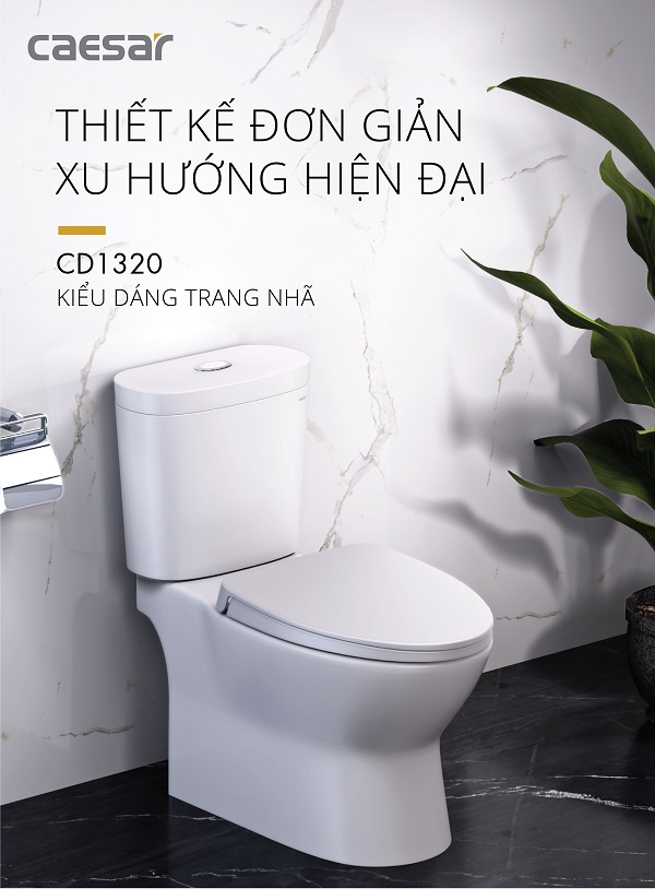 Bàn cầu hai khối CD1320