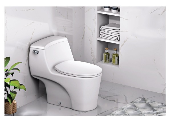 Bàn Cầu Một Khối - C1353