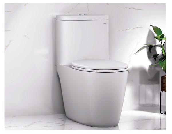 Bàn Cầu Một Khối - CD1364
