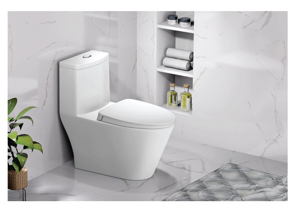 Bàn cầu một khối CD1363