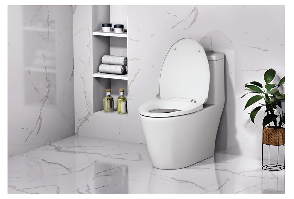 Bàn cầu một khối CD1363