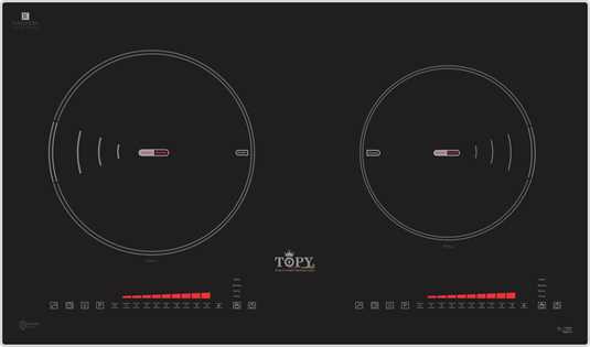 Bếp 2 từ cao cấp TOPY - 1368S serial 4.0