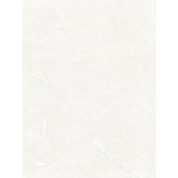 Gạch ốp Viglacera Ceramic 30×45 – B4501