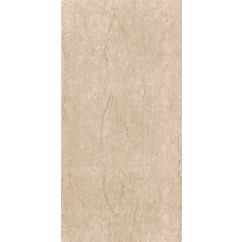 Gạch ốp Viglacera Ceramic 30×60 – F3602