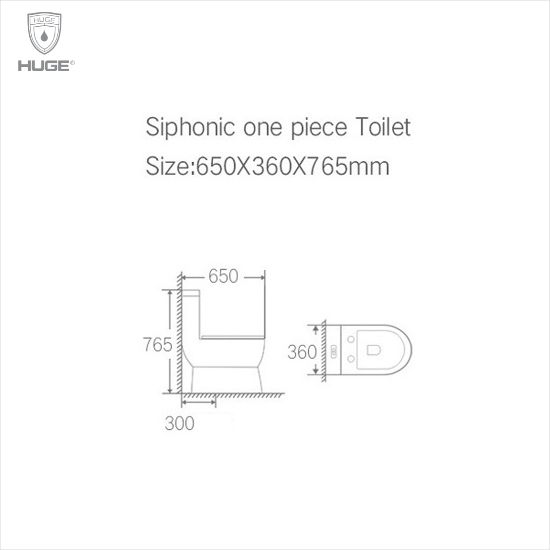 Bồn cầu một khối (H-BC2066)