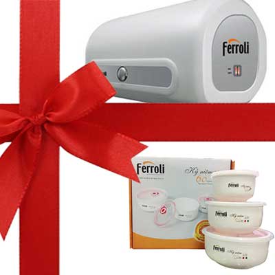 Bình nóng lạnh Ferroli QQSE 30L (QQSI)