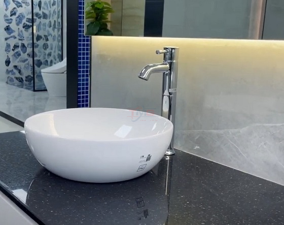Chậu lavabo đặt bàn cao cấp LT1706