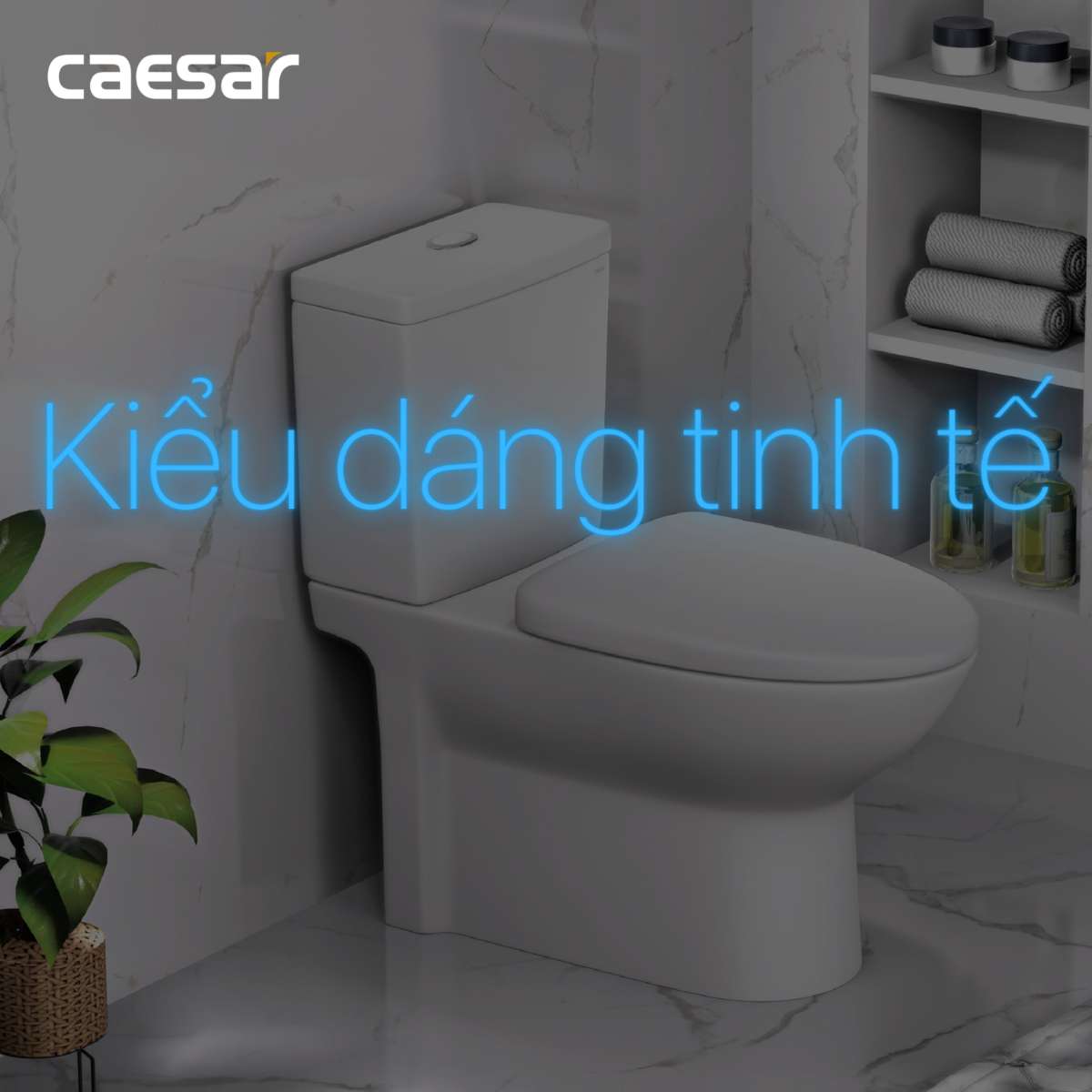 Nắp bồn cầu Caesar M232