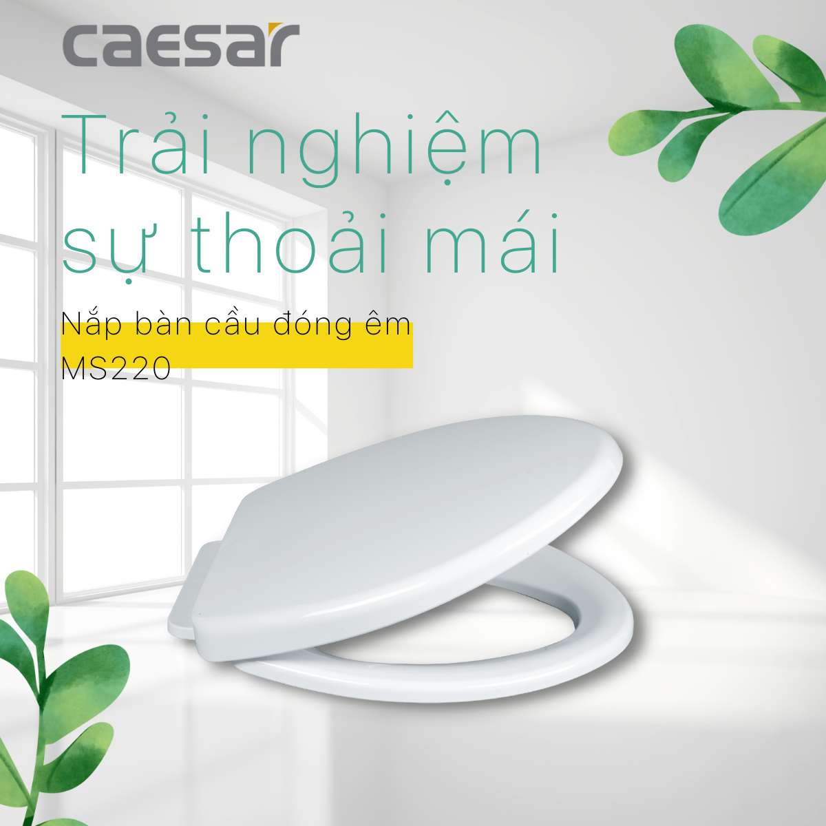 NẮP BỒN CẦU CAESAR MS220
