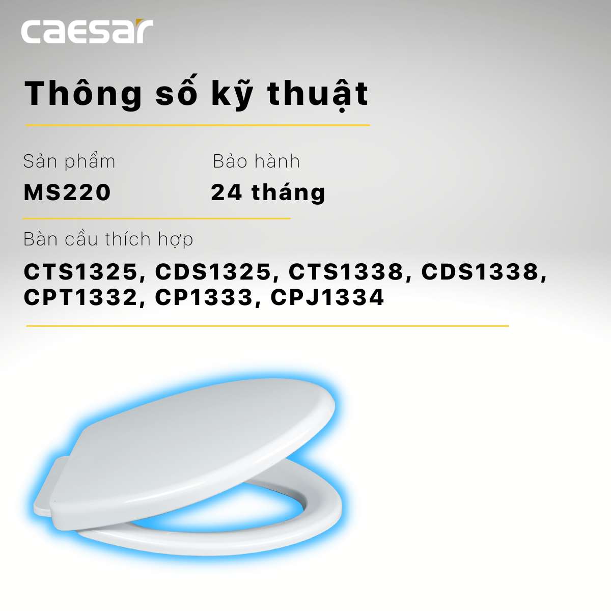 NẮP BỒN CẦU CAESAR MS220