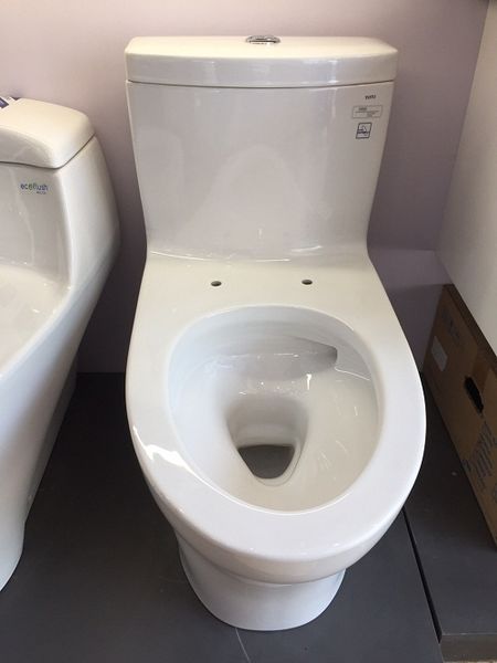 Bồn Cầu Một Khối TOTO MS889DRT2