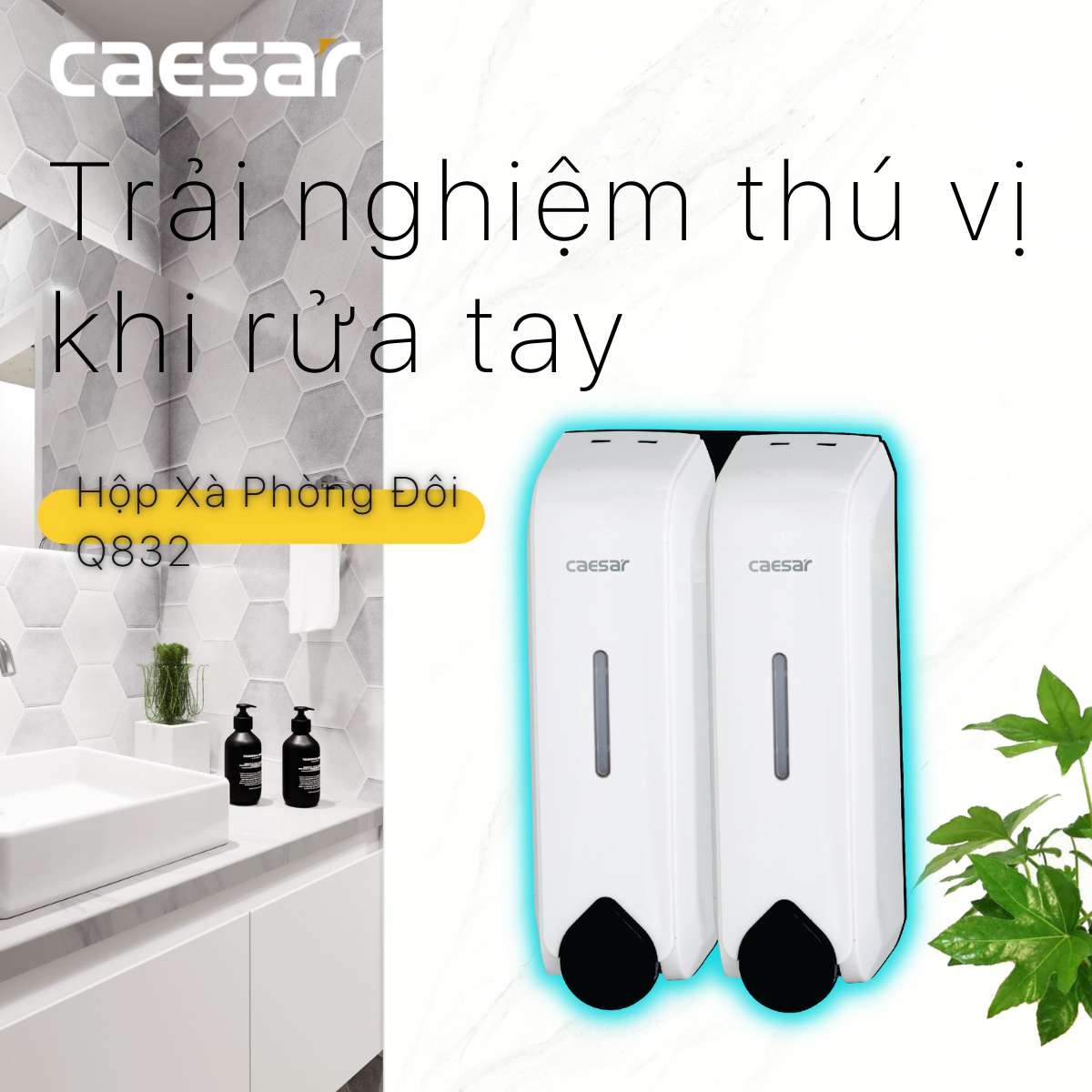 Hộp đựng xà phòng nước Caesar Q832