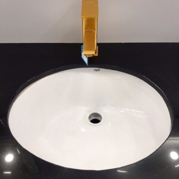 Chậu rửa âm bàn Royal Join RA-2005