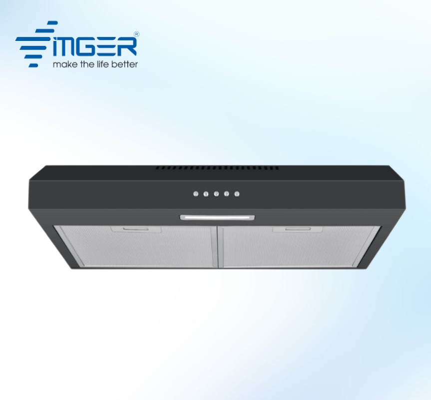 HÚT MÙI TREO TƯỜNG CỔ ĐIỂN VG 116 EC