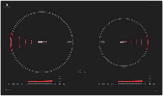 Bếp 2 từ TP - A88Plus