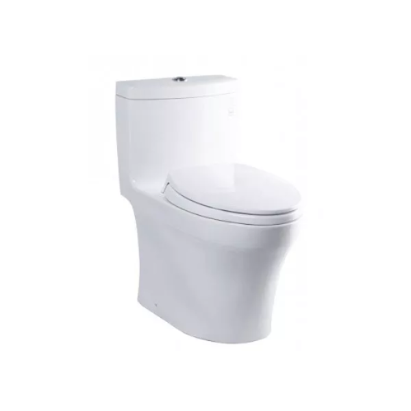 Bồn Cầu Một Khối TOTO MS889DRT2