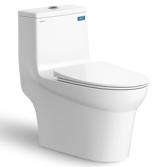 BỒN CẦU 1 KHỐI VIGLACERA V65