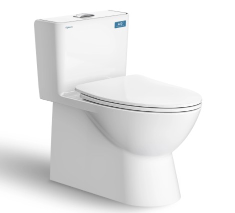 Bàn cầu một khối V808