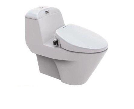 Bồn cầu American + nắp rửa thông minh VF-2011S