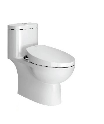 Bồn cầu American + nắp rửa thông minh VF-2024S