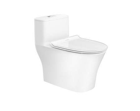 Bồn cầu American WP-1880 một khối