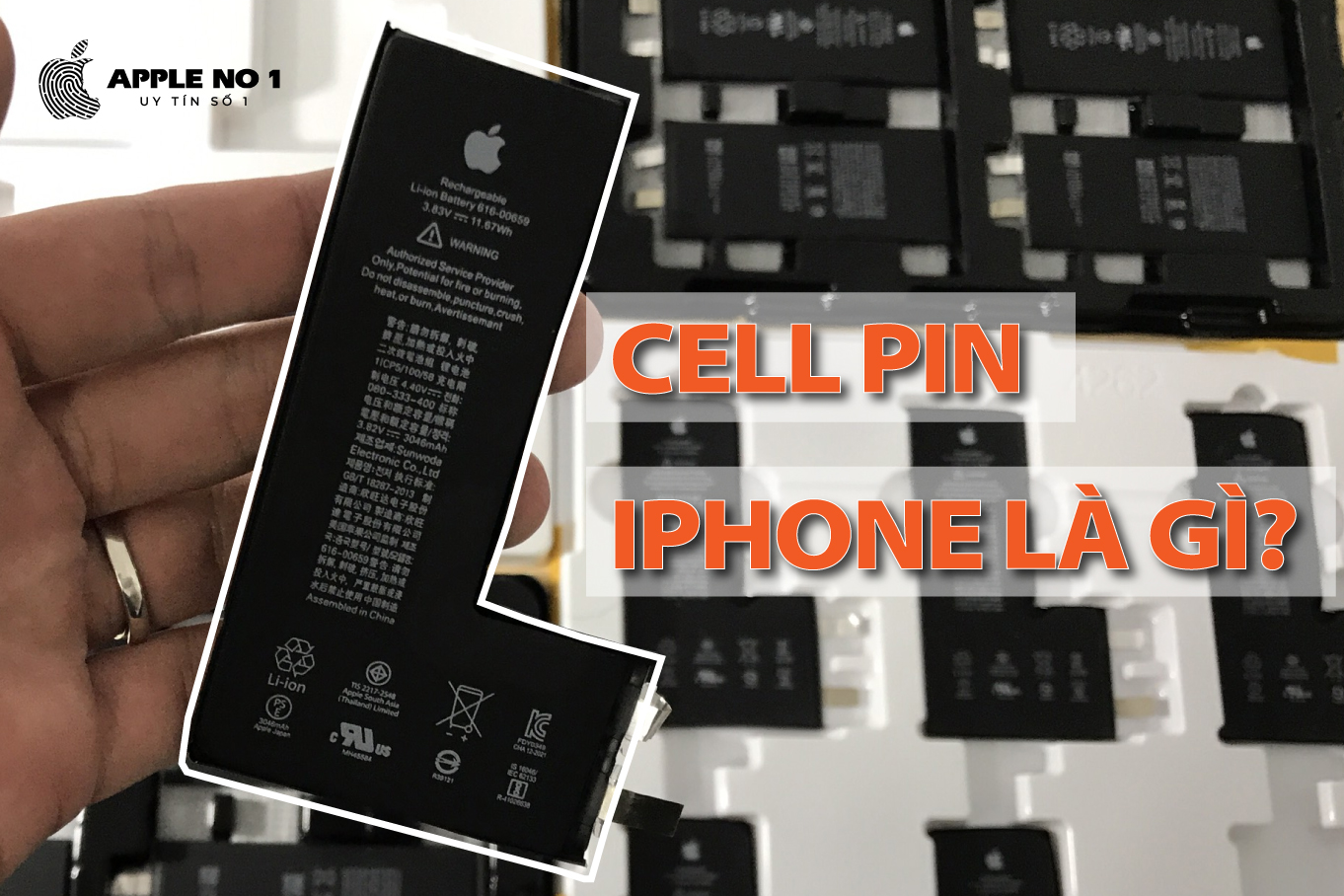 Cell pin iPhone là gì? Có nên thay Cell pin iPhone không?