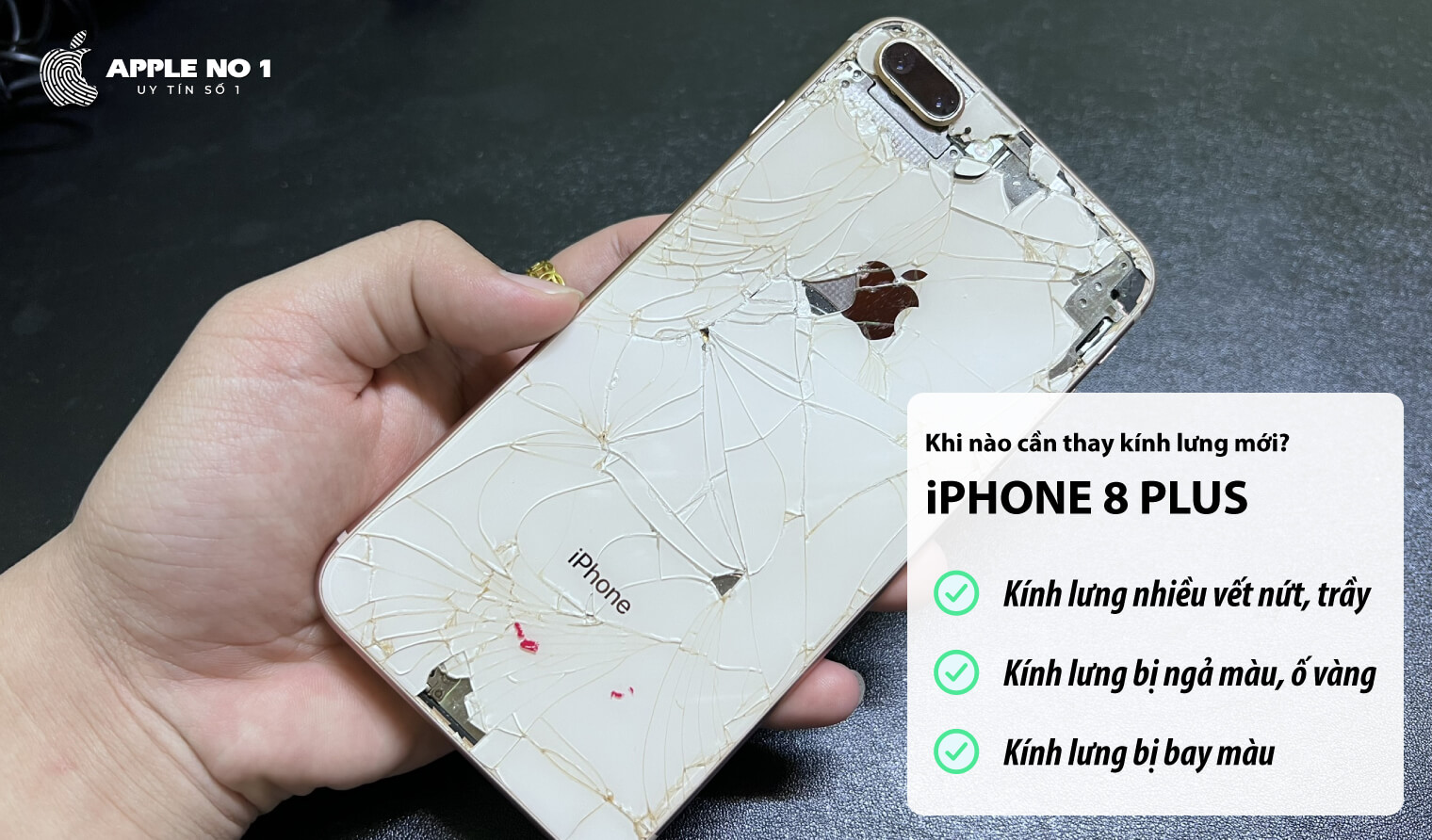 khi nao can thay kinh lung iphone 8 plus moi