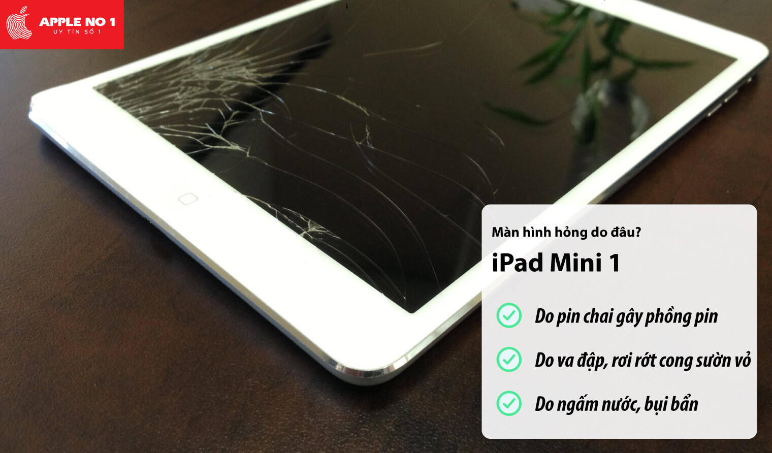 Màn hình iPad mini 1 bị hỏng do đâu?