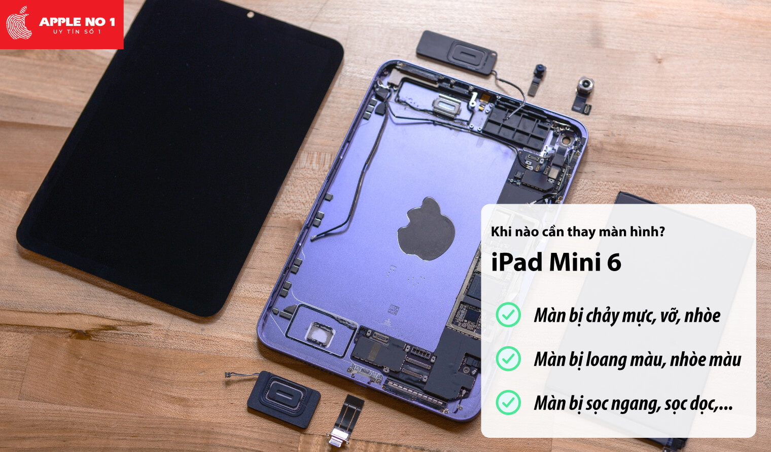Thay màn hình iPad mini 6 khi nào?
