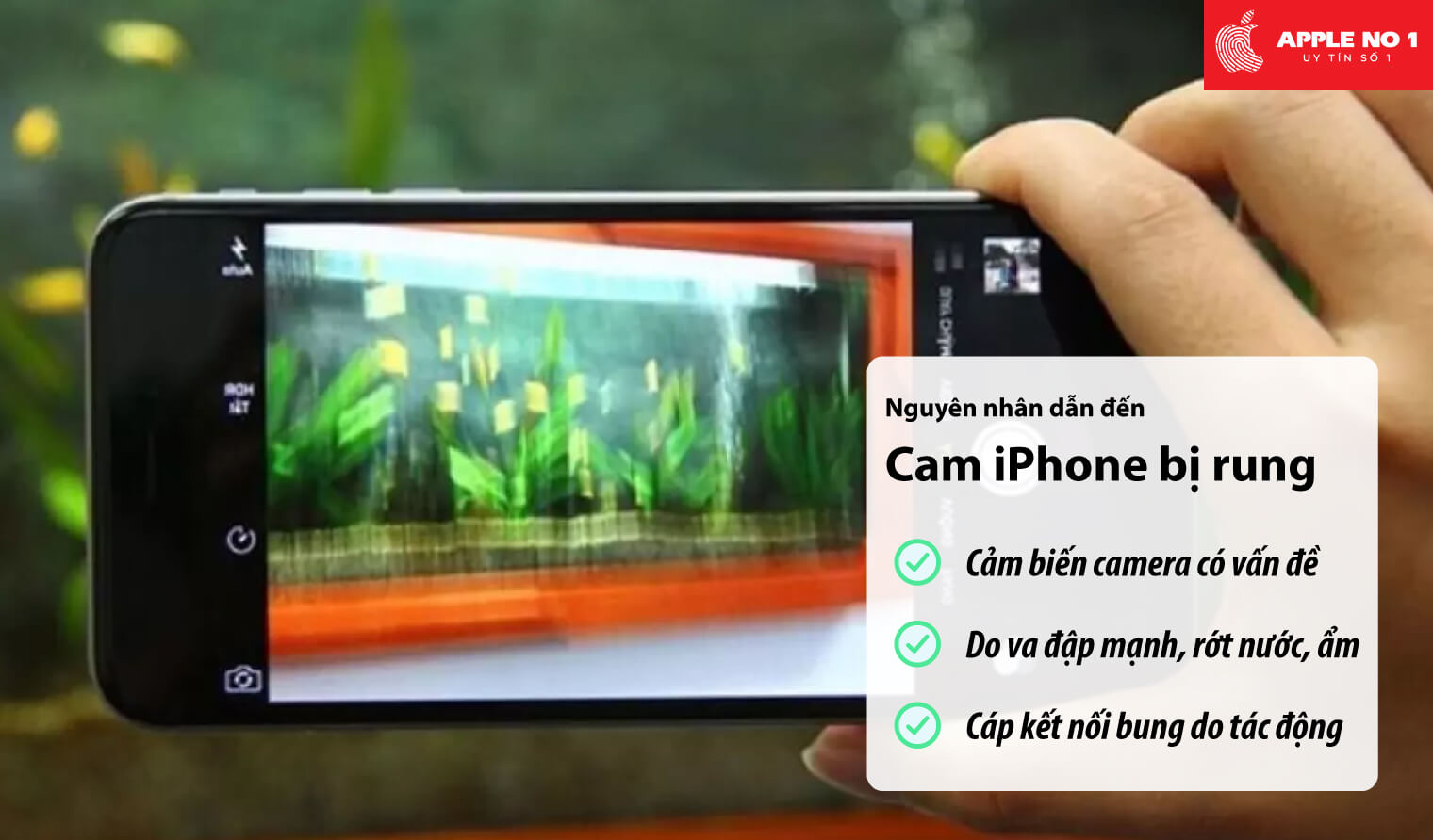 Nguyên nhân Camera iPhone bị rung, giật, nhòe