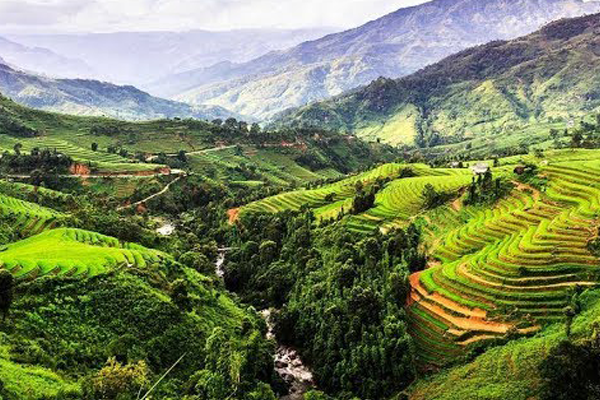 TÂY NGUYÊN CÓ LỢI THẾ TRỞ THÀNH VÙNG SẢN XUẤT CÂY ĂN QUẢ TRỌNG ĐIỂM TÂY NGUYÊN CÓ LỢI THẾ TRỞ THÀNH VÙNG SẢN XUẤT CÂY ĂN QUẢ TRỌNG ĐIỂM