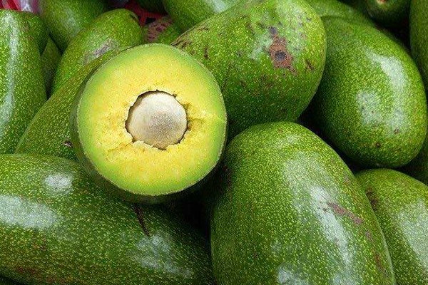 Cách chọn bơ ngon, dẻo, không bị sượng Cách chọn bơ ngon, dẻo, không bị sượng