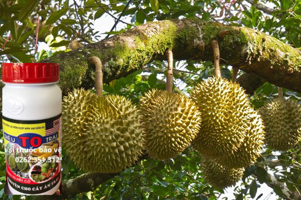 PHÂN-BÓN-LÁ-HỖN-HỢP-NPK-AN-DÂN-05