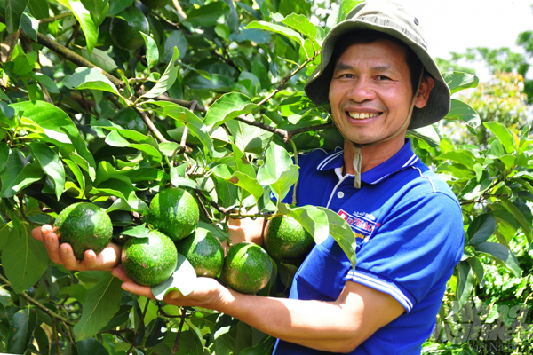 Bien-phap-khac-phuc-bo-booth-khong-dau-trai