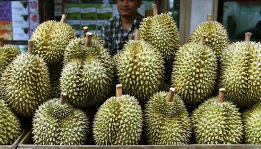 Giá sầu riêng hôm nay tại Tây Nguyên tiếp tục duy trì ổn định
