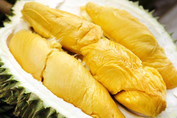 Ben-canh-nhung-loi-ich-khi-an-sau-rieng-se-co-nhung-luu-y-khi-an-sau-rieng