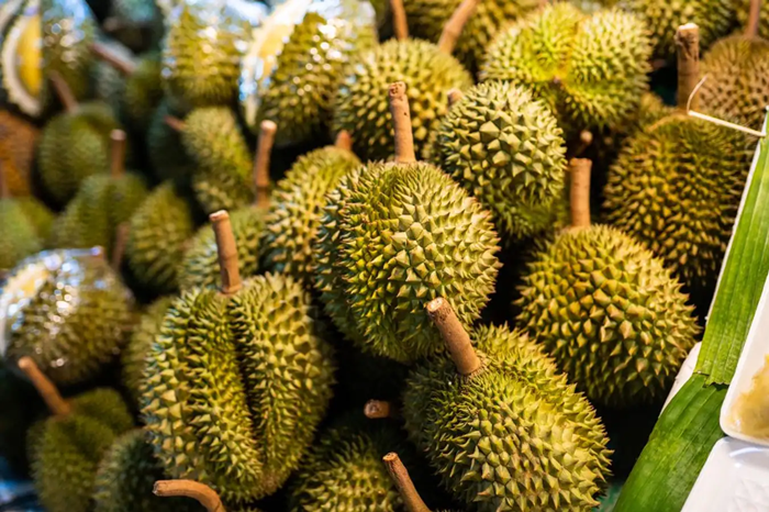 Sầu riêng Cái Mơn đã trở thành thương hiệu nổi tiếng gắn liền với chất lượng và hương vị 