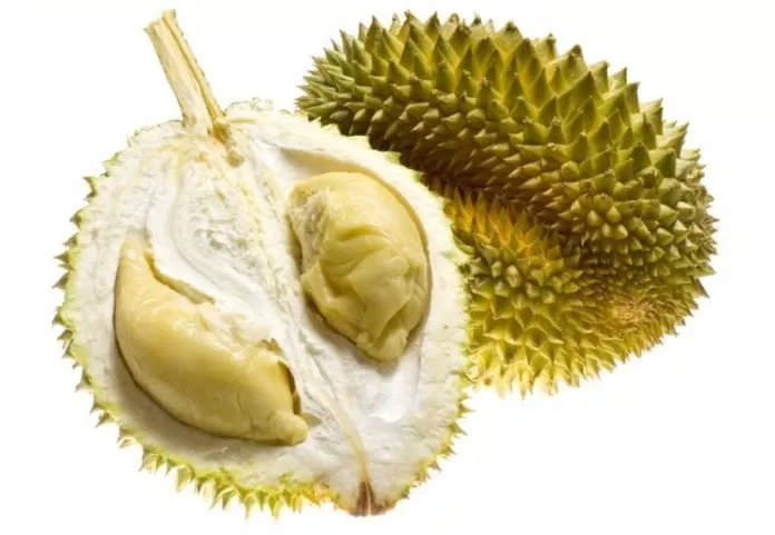 Sau-rieng-kho-qua-xanh-duoc-uu-chuong-boi-vi-nhan-nhan-dac-trung-va-gia-ca-binh-dan-.