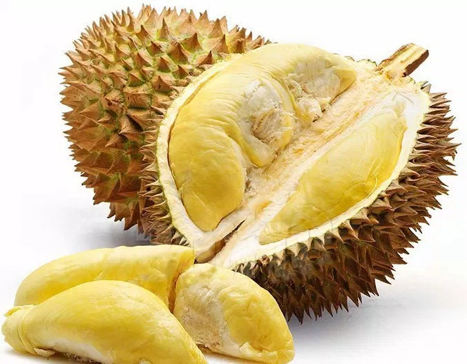 Sau-rieng-Ri-6-duoc-menh-danh-la-''-vua-''-cua-cac-giong-sau-rieng-.