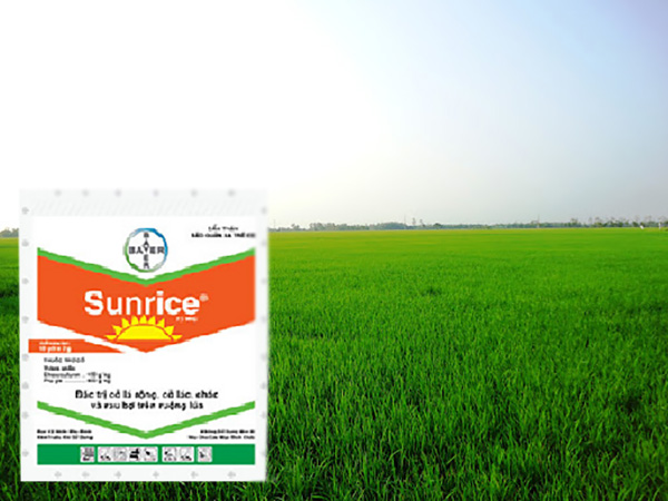 sunrice-15wdg